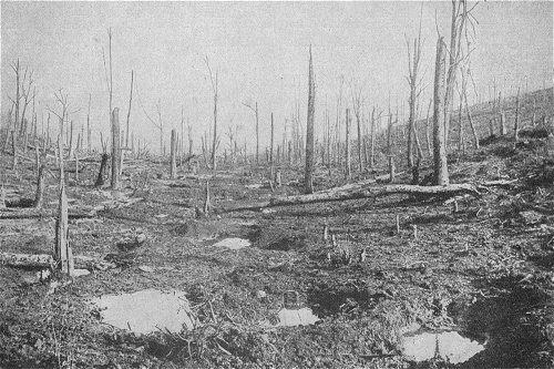 Der 1. Weltkrieg: Das Schlachtfeld von Verdun