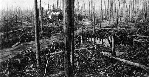 Flandernschlacht 1917: Ein deutscher Bunker im Houthoulster Wald